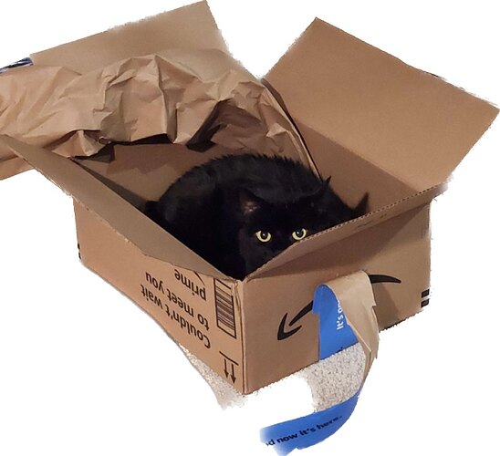 The same image, but isolated to just the box and cat.