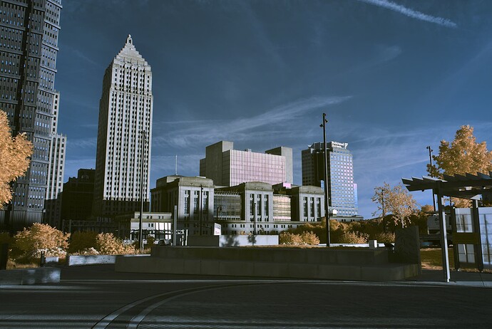 Part of a skyline on a sunny day, with dull greyish buildings, a steel blue sky, and golden-yellow plants.