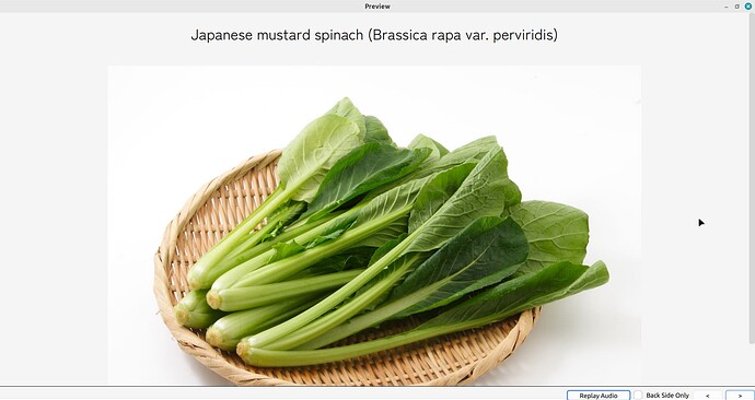 The front of the card reading "Japanese mustard spinach" with the picture of the veggies