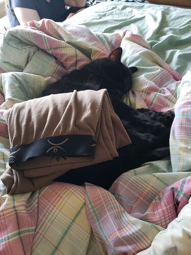 Black cat lying on a duvet with her eyes closed. A folded piece of laundry has been stacked on top of her