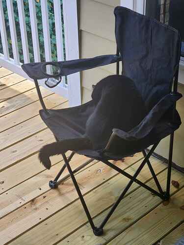 A black cat sitting on a cheap camping chair while outside on a balcony.