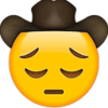 :sadcowboy: